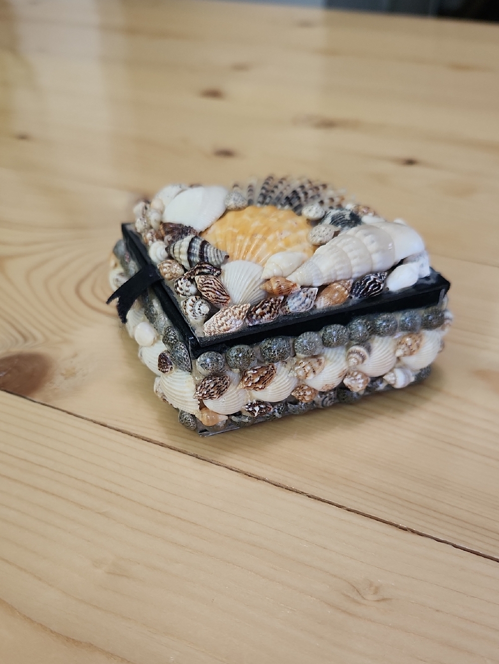 Vintage Sea Shell Trinket Box Black Velvet Lined Coastal Jewelry Keepsake Case - Picture 13 of 13